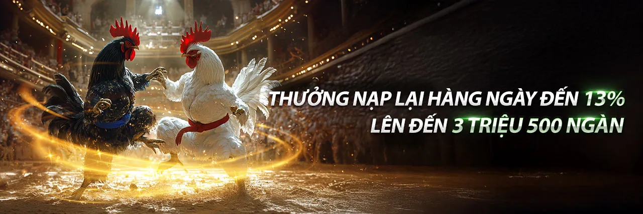 Hình ảnh đá gà trực tuyến Open88, sân chơi uy tín hàng đầu